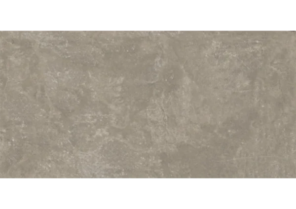 AVENA VENUS - Image 2