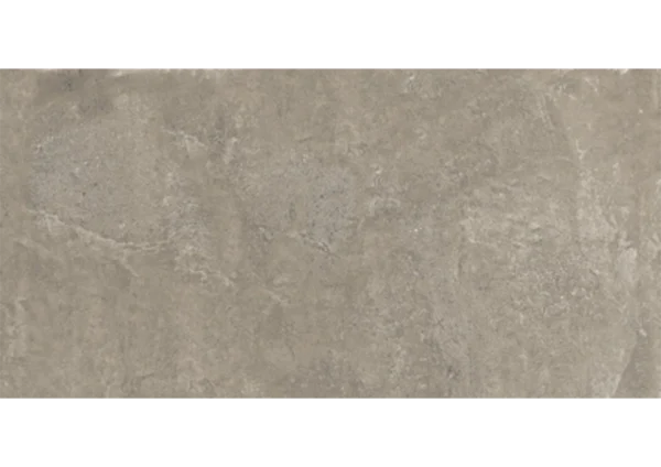 AVENA VENUS - Image 3