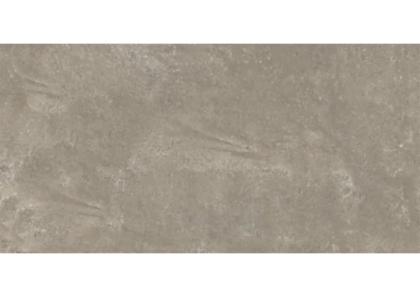 AVENA VENUS - Image 4