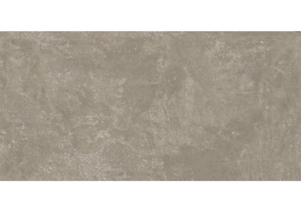 AVENA VENUS - Image 5